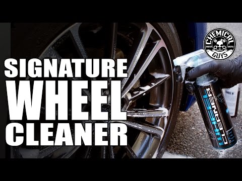 Load and play video in Gallery viewer, Chemical Guys Signature Series Wheel Cleaner &amp; Big Blue Stiffy Brush Kit
